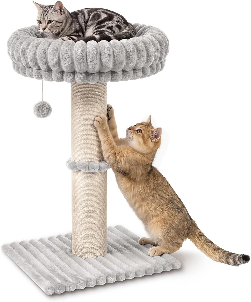 Avont Cloud Cat Scratching Post with Perch