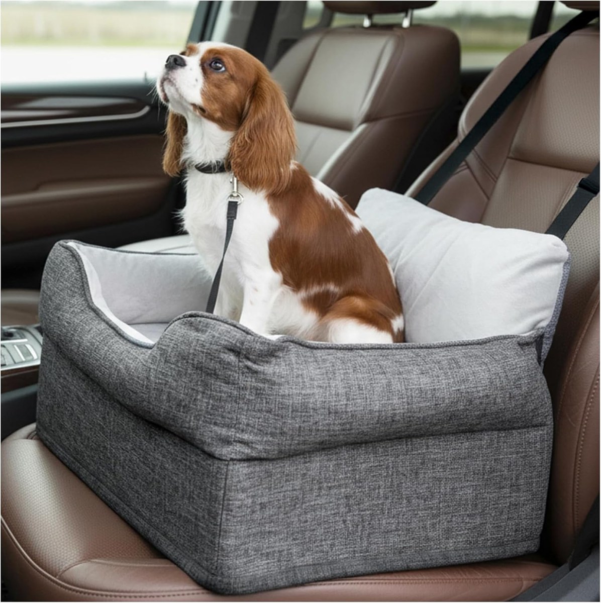 Avont Elevated Dog Car Booster Seat