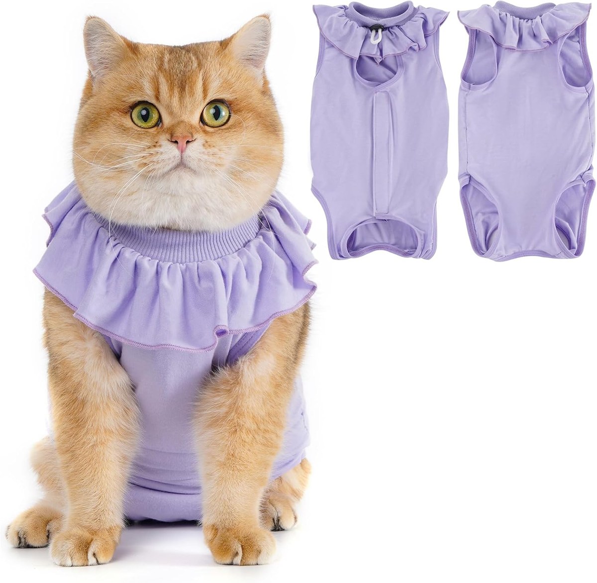 Avont Ruffled Kitten Recovery Onesie