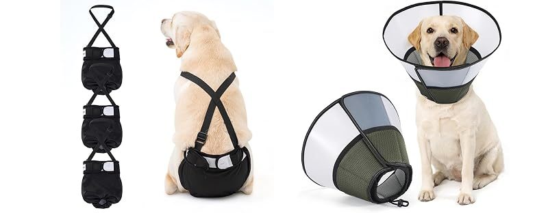 Avont Female Dog Diapers + Recovery Cone, No. 2