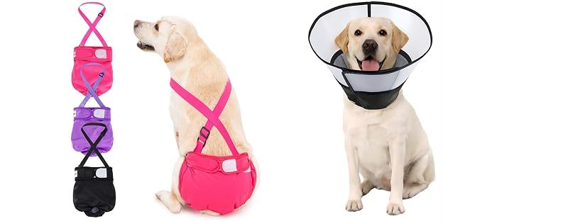 Avont Female Dog Diapers + Recovery Cone, No. 6