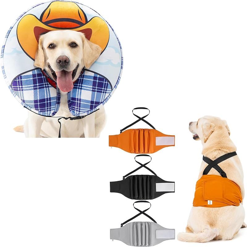 Avont Female Dog Diapers + Recovery Cone, No. 7