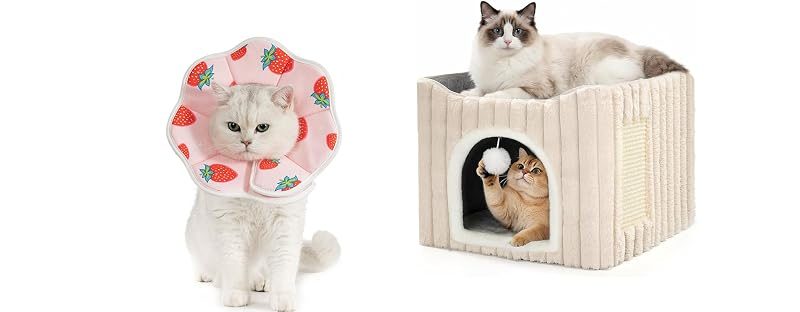 Avont Recovery Cone + 3-in-1 Cat House