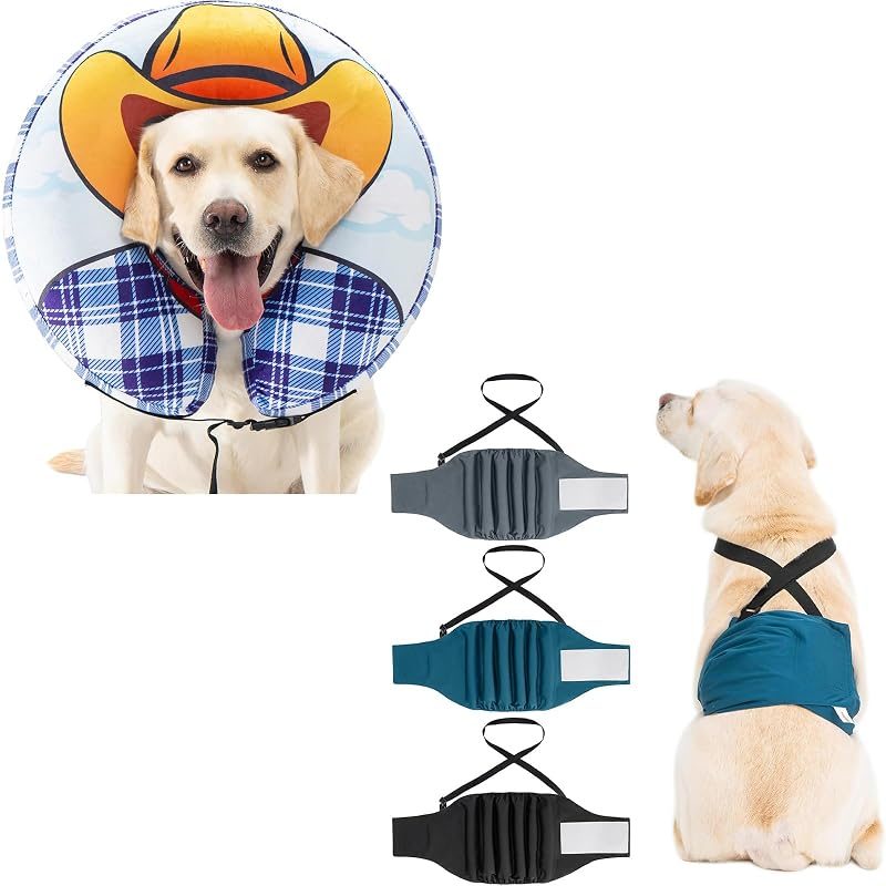 Avont Recovery Cone + Male Belly Bands