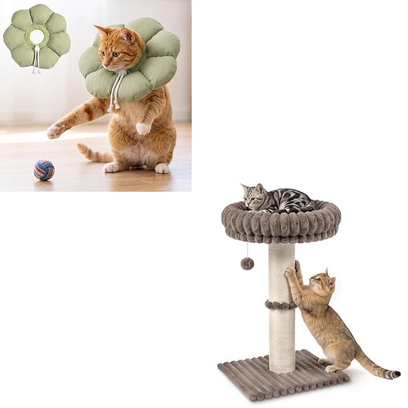Avont Recovery Cone + Sisal Scratching Post