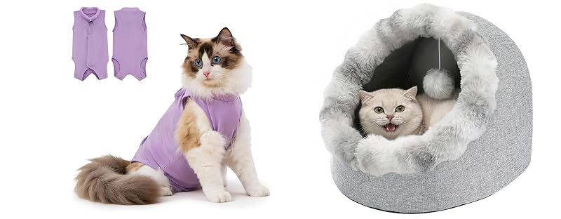 Avont Recovery Suit + Cat Bed Cave, No. 1