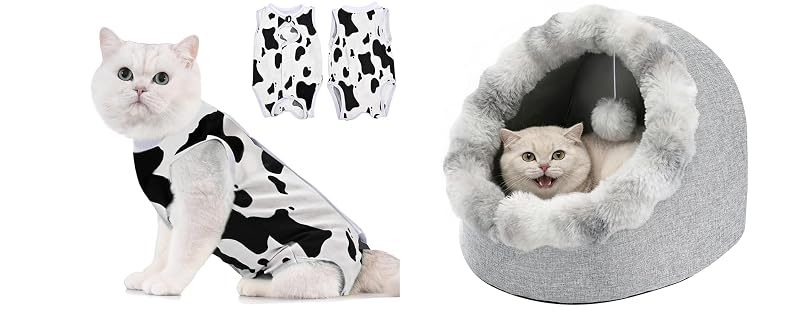 Avont Recovery Suit + Cat Bed Cave, No. 2