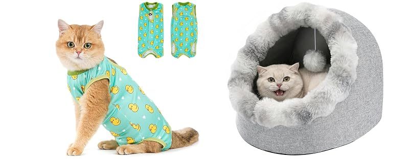 Avont Recovery Suit + Cat Bed Cave, No. 3